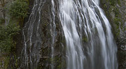 Rainier Waterfall II